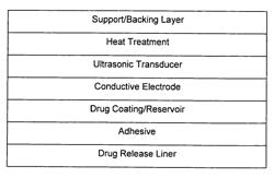 Active transdermal drug delivery system and the method thereof