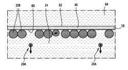 Method for high-throughput screening of drops by osmotic exchange and density variation