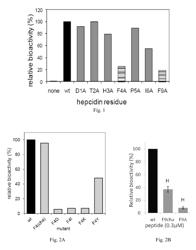 Modified mini-hepcidin peptides and methods of using thereof