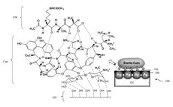 Glycopeptide-functionalized nanoparticles arrays for capturing and detecting biomolecules