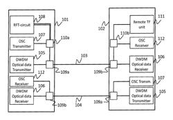 System and method for network synchronization and frequency dissemination