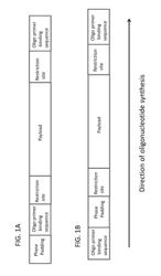 Compositions, Methods and Apparatus for Oligonucleotides Synthesis