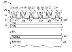 PERPENDICULAR MAGNETIC RECORDING DISK WITH PATTERNED TEMPLATE LAYER