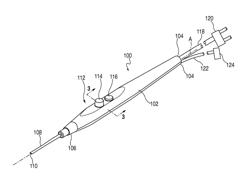 Cautery Apparatus