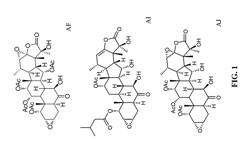 Taccalonolide microtubule stabilizers