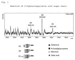 Sugar chain-capturing substance and use thereof