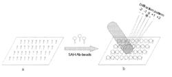 Ultrasensitive detection of biomolecules using immunoseparation and diffractometry