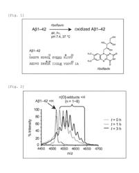 OXIDIZED A BETA PEPTIDE