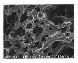 Monolithic organic porous body, monolithic organic porous ion exchanger, and process for producing the monolithic organic porous body and the monolithic organic porous ion exchanger