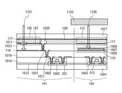 Display device and electronic book