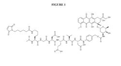 PRODRUGS ACTIVATED BY CASPASE