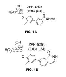 COMPOUNDS AND METHODS FOR TREATING BACTERIAL INFECTIONS