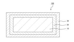 PALLADIUM PLATE COATED MATERIAL AND METHOD OF PRODUCING PALLADIUM PLATE COATED MATERIAL