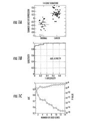 BLADDER CANCER DETECTION COMPOSITION, KIT, AND ASSOCIATED METHODS