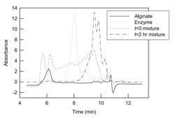 Enzymatic treatment of alginate to reduce membrane fouling for water or wastewater purification