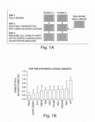 COMPOSITIONS AND METHODS FOR TREATING CANCER