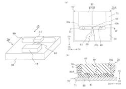 Optical transmission body, method for manufacturing the same, and optical transmission module