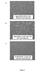 PHARMACEUTICAL COMPOSITIONS COMPRISING MONOTERPENES