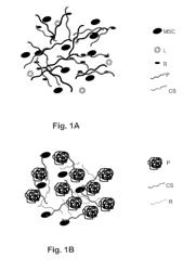 SELF-ASSEMBLING BIOMIMETIC HYDROGELS HAVING BIOADHESIVE PROPERTIES