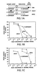 Fold-back diabody diphtheria toxin immunotoxin and methods of use