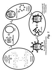 Manganese ion coated nanoparticles for delivery of compositions into the central nervous system by nasal insufflation