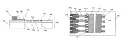 Optical interconnection module and optical-electrical hybrid board