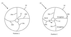 Electroactive polymer (EAP)-based rotary motion devices