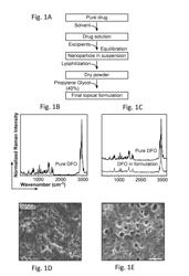 Iron Chelators and Use Thereof for Reducing Transplant Failure During Rejection Episodes