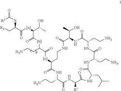 ANTIMICROBIAL POLYMYXINS FOR TREATMENT OF BACTERIAL INFECTIONS