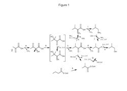 Fermentive Production of Four Carbon Alcohols