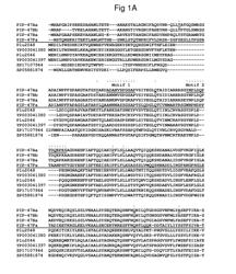 INSECTICIDAL PROTEINS AND METHODS FOR THEIR USE