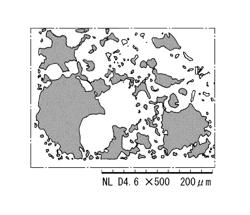 Exhaust gas purifying catalyst comprising a catalyst layer comprising at least two inorganic porous particles