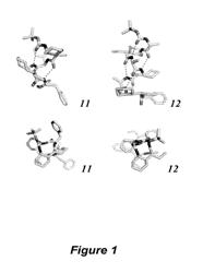 Gamma amino acid building blocks