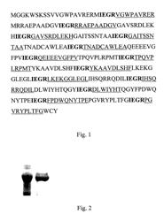 Process for making oligopeptides