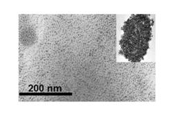 Magneto dielectric polymer nanocomposites and method of making