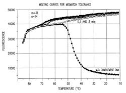 Double stranded linear nucleic acid probe