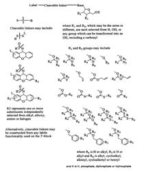 Labelled nucleotides