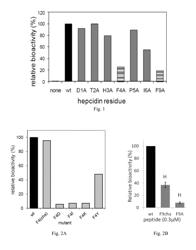 Modified Mini-Hepcidin Peptides and Methods of Using Thereof