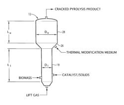 Multi-stage biomass conversion