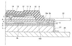 OLED display panel