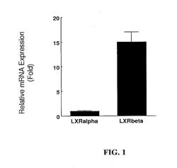 OXYSTEROLS THAT ACTIVATE LIVER X RECEPTOR SIGNALING AND INHIBIT HEDGEHOG SIGNALING