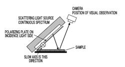 HALF MIRROR FOR DISPLAYING PROJECTED IMAGE AND PROJECTED IMAGE DISPLAY SYSTEM