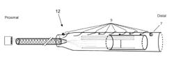 Multi-lead multi-electrode management system