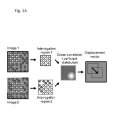 Methods for predicting mammalian embryo viability