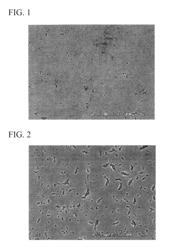 LaNiO3 thin film-forming composition and method of forming LaNiO3 thin film using the same