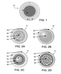 PARTICLES WITH MULTIPLE FUNCTIONALIZED SURFACE DOMAINS