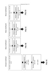 MODIFIED SULFAMIDASE AND PRODUCTION THEREOF