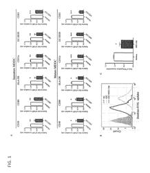 Immunosuppressive cells and methods of making and using thereof