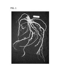 Compositions and methods for controlling nematodes