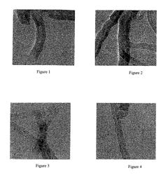 Platinum/carbon nanotube catalyst, the preparation process and use thereof